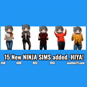 New NINJA CPA Review Flashcards - Another71.com