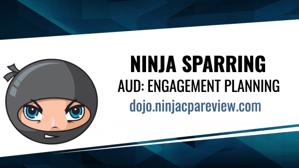 AUD Engagement Planning