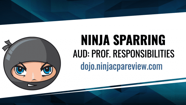 aud professional responsibilities